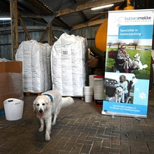 Plouf_op_verkenning_in_de_loods