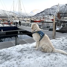 De_haven_van_tromso
